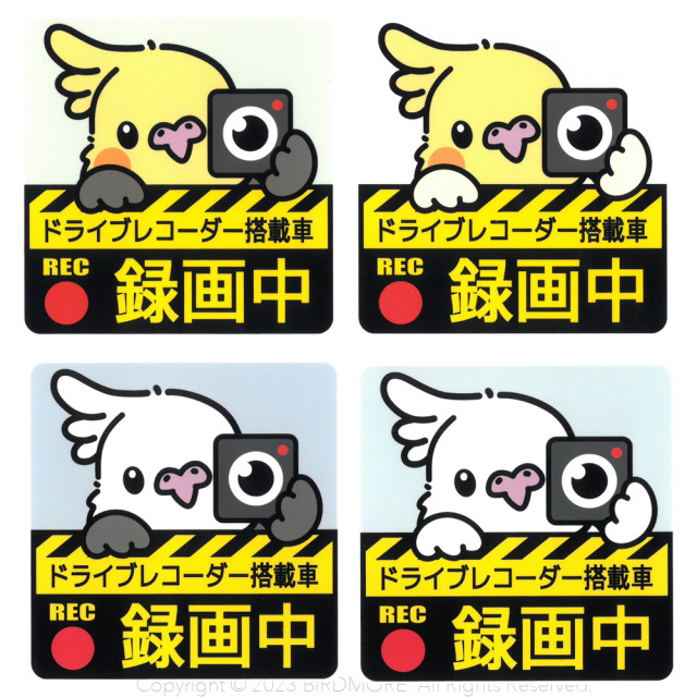 9998924【ゆとり屋】ドラレコステッカー/オカメインコ◇ 鳥専門