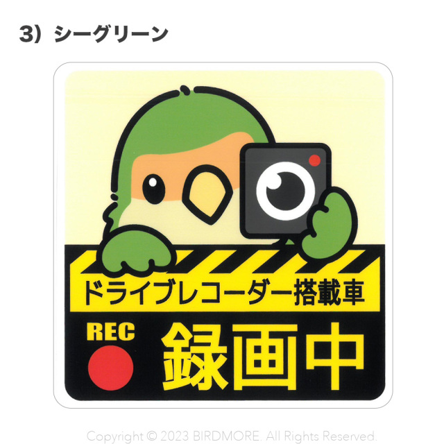 999-8925c.jpg?t=20240319142327