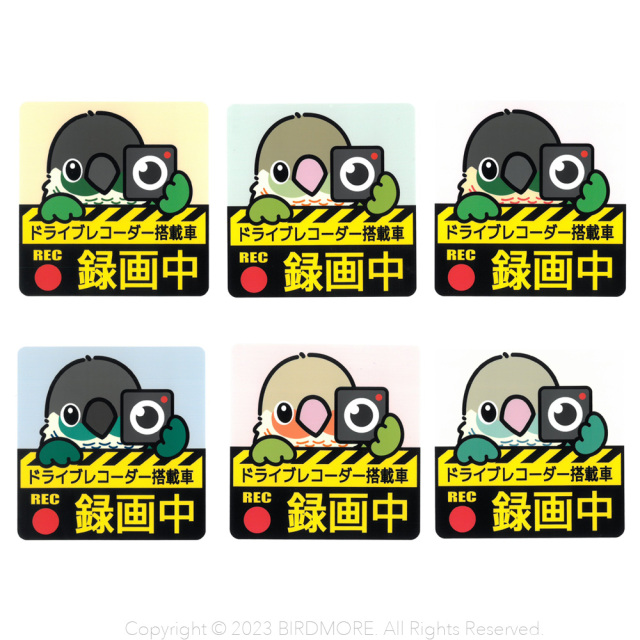 9998938【ゆとり屋】ドラレコステッカー/白色オウム◇ 鳥専門店