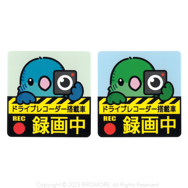 9998936【ゆとり屋】ドラレコステッカー/コンゴウインコ◇ 鳥