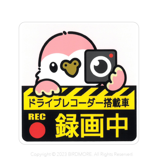 9998934【ゆとり屋】ドラレコステッカー/アキクサインコ◆