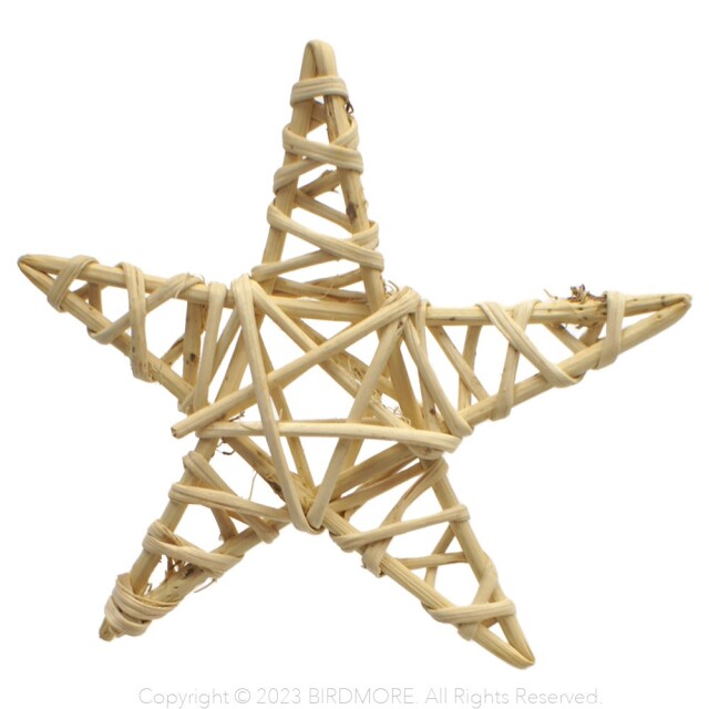 9999060【BTP】Large Vine Star (ラージヴァインスター） 1個