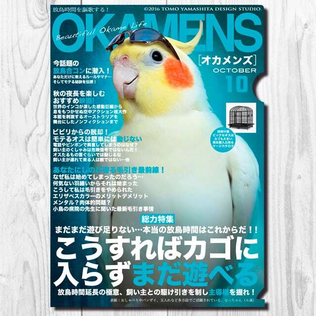 9999107【TOMO YAMASHITA DESIGN STUDIO】A4クリアファイル/オカメンズ10月号 「こうすればカゴに入らずまだ遊べる」◆