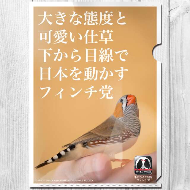 9999109【TOMO YAMASHITA DESIGN STUDIO】A4クリアファイル/フィンチ党 「下から目線で日本を動かすフィンチ党」◆