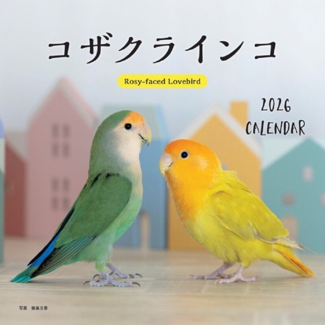 9999145【誠文堂新光社】2026年 大判カレンダー コザクラインコ