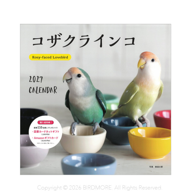 9999145【誠文堂新光社】2027年 大判カレンダー コザクラインコ