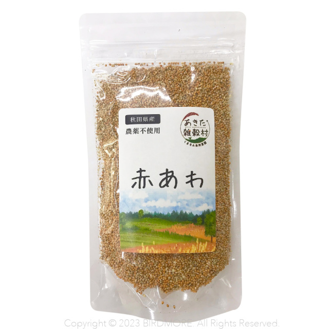 バナー_ケージ20%OFF