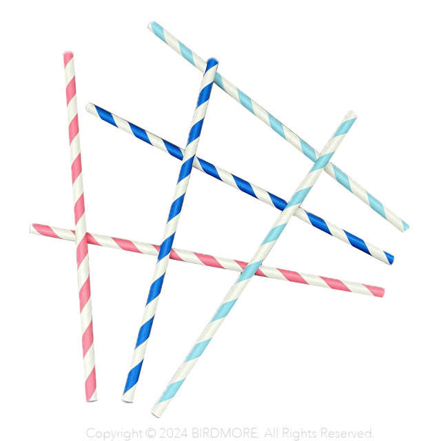 9999308【BTP】Paper Straws　25本入り