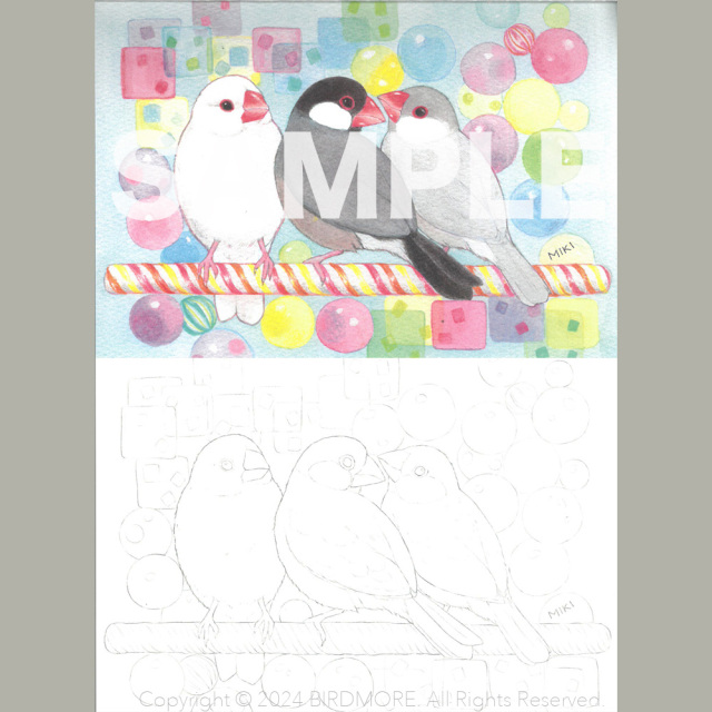 9999350【河出書房新社】夢色ことりの塗り絵 POSTCARD BOOK◇ 鳥専門店