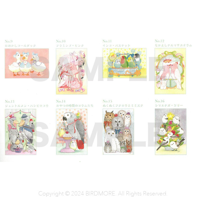 9999350【河出書房新社】夢色ことりの塗り絵 POSTCARD BOOK◇ 鳥専門店