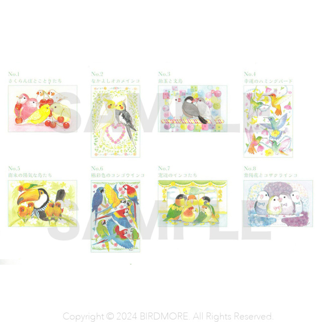 9999350【河出書房新社】夢色ことりの塗り絵 POSTCARD BOOK◇ 鳥専門店