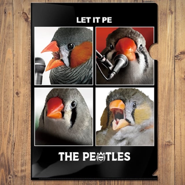 9999413【TOMO YAMASHITA DESIGN STUDIO】A4クリアファイル/ペートルズ 「LET IT PE」◆