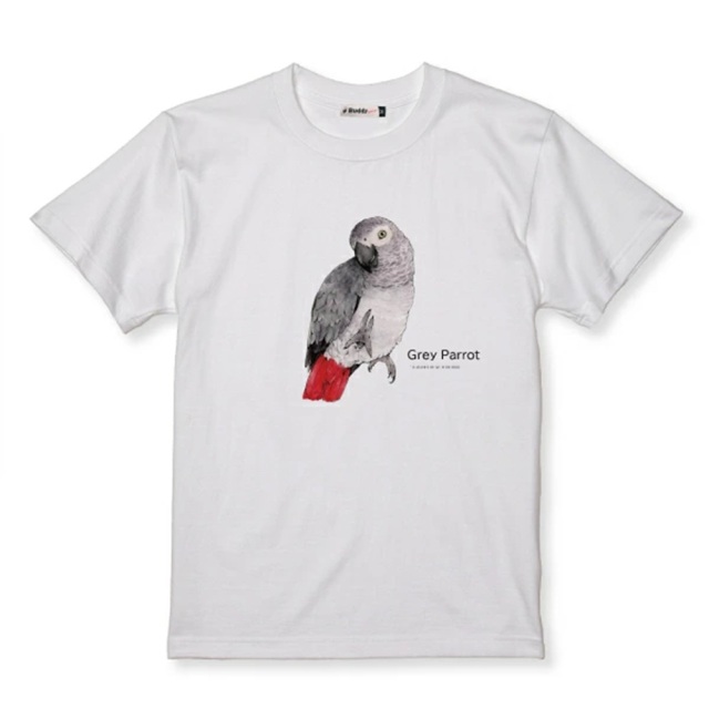 9999504【ゆとり屋】Tシャツ/ヨウムGray parrot