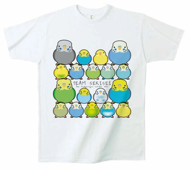 9999518【かんたろう】Tシャツ・男性L/TEAM SEKISEI