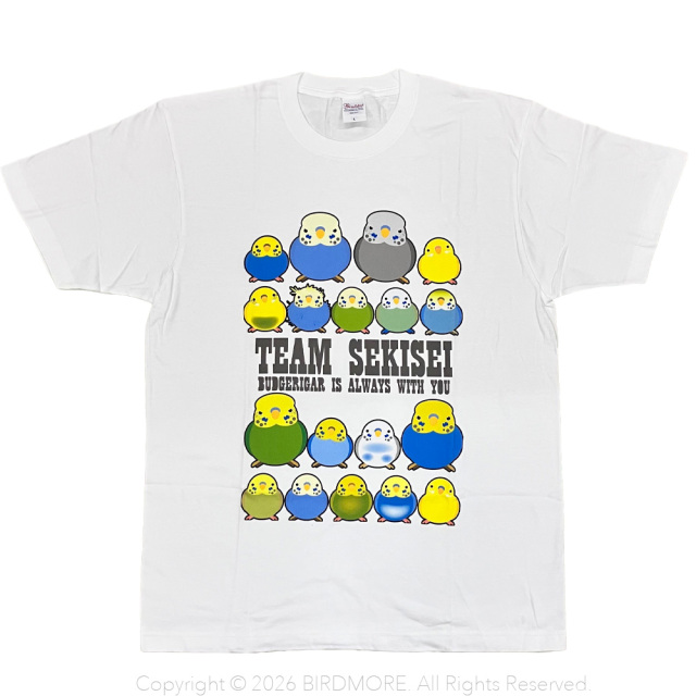 9999518【かんたろう】Tシャツ・男性L/TEAM SEKISEI