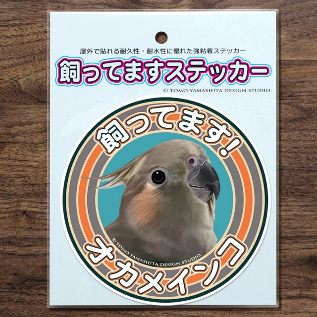 9999543【TOMO YAMASHITA DESIGN STUDIO】飼ってますステッカー オカメ/ノーマル・メス◆