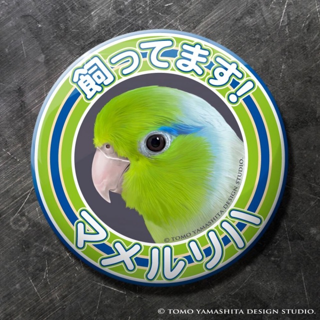 9999545【TOMO YAMASHITA DESIGN STUDIO】飼ってます缶バッジ  マメルリハ /グリーン◆