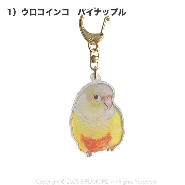 9999554【aoamo】アクリルキーホルダー 鳥専門店 BIRD MORE