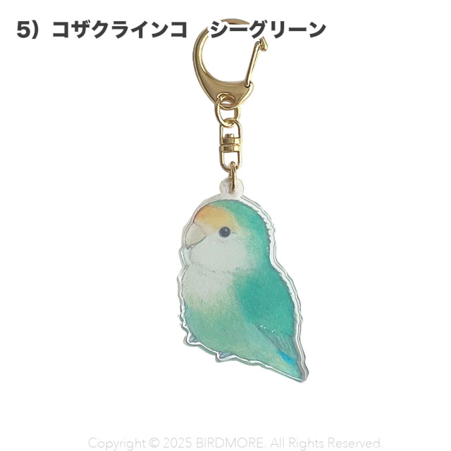 9999554【aoamo】アクリルキーホルダー 飼鳥専門店 BIRD MORE