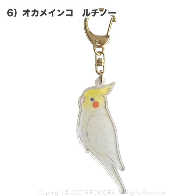 X　プライズ限定　アクキー　桃生小鳥 アクリルキーホルダー フライングスーツ4種セット – 合同会社か