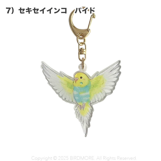 9999554【aoamo】アクリルキーホルダー 鳥専門店 BIRD MORE