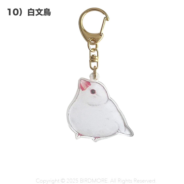 9999554【aoamo】アクリルキーホルダー 鳥専門店 BIRD MORE