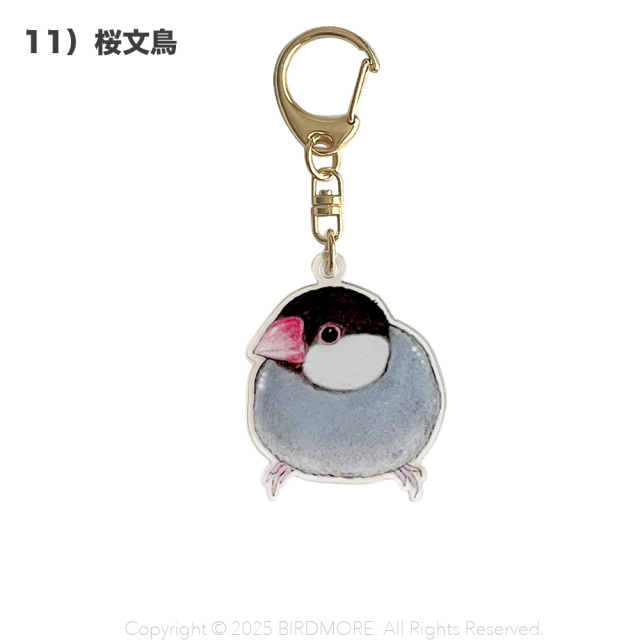 9999554【aoamo】アクリルキーホルダー 鳥専門店 BIRD MORE