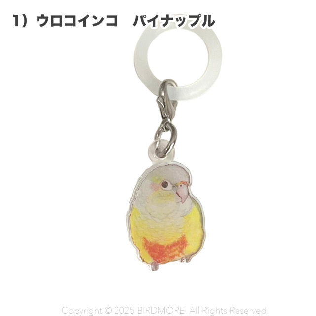 9999555【aoamo】アンブレラマーカー 鳥専門店 BIRD MORE