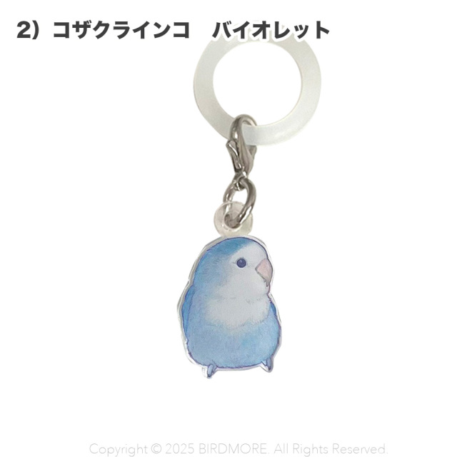 オカメインコ　インコ　セキセイインコ　ブローチ　ことり　チャーム　傘　目印 9999555【aoamo】アンブレラマーカー 鳥専門店 BIRD MORE