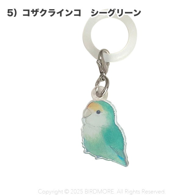9999555【aoamo】アンブレラマーカー 鳥専門店 BIRD MORE