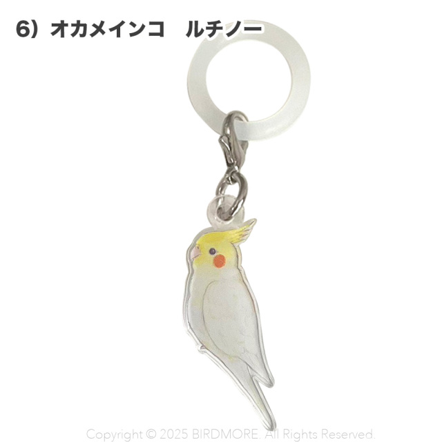 9999555【aoamo】アンブレラマーカー 鳥専門店 BIRD MORE