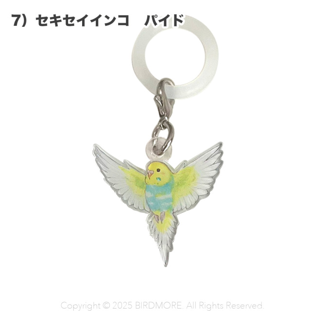 9999555【aoamo】アンブレラマーカー 鳥専門店 BIRD MORE