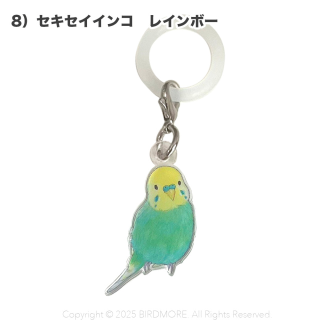 9999555【aoamo】アンブレラマーカー 鳥専門店 BIRD MORE