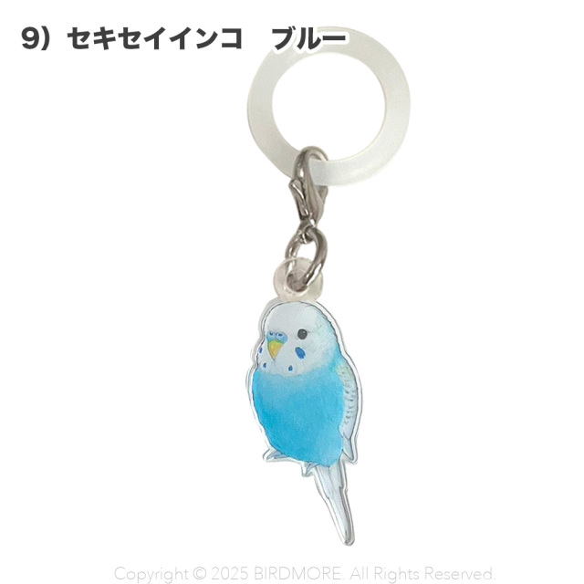 9999555【aoamo】アンブレラマーカー 鳥専門店 BIRD MORE