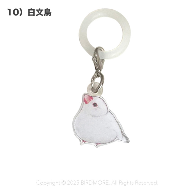 9999555【aoamo】アンブレラマーカー 鳥専門店 BIRD MORE