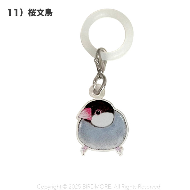 9999555【aoamo】アンブレラマーカー 鳥専門店 BIRD MORE