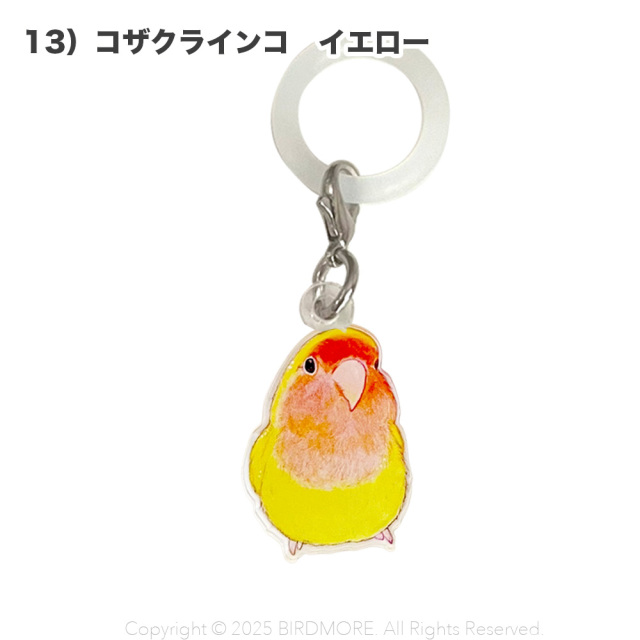 9999555【aoamo】アンブレラマーカー 鳥専門店 BIRD MORE