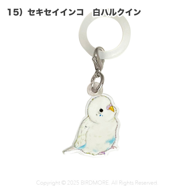 9999555【aoamo】アンブレラマーカー 鳥専門店 BIRD MORE