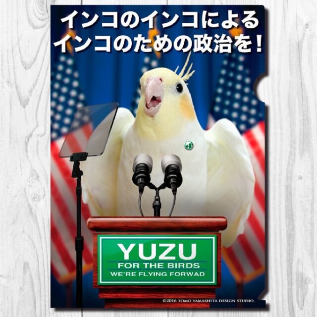 9999569【TOMO YAMASHITA DESIGN STUDIO】A4クリアファイル/インコ党 「アメリカ大統領選挙」◆