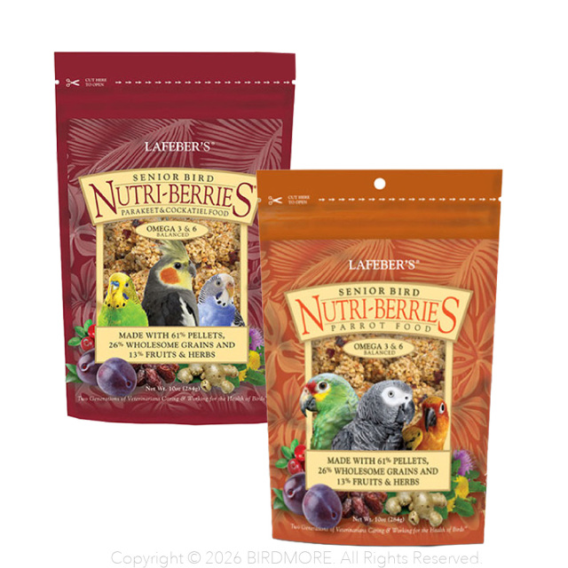 9999602【ラフィーバー】シニアバード 2種類