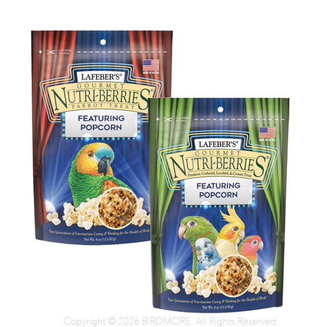 9999603【ラフィーバー】ポップコーン 2種類