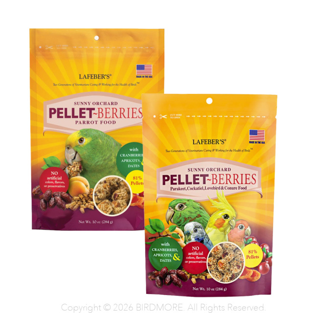 9999604【ラフィーバー】ペレットベリー 2種類