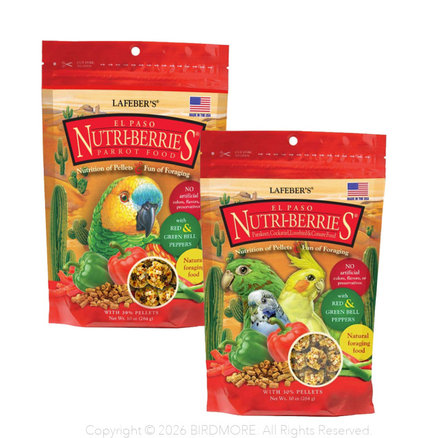 9999605【ラフィーバー】 エルパソ 2種類