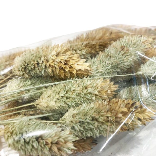 9999615【HHJ】国産カナリーシードの穂 40g