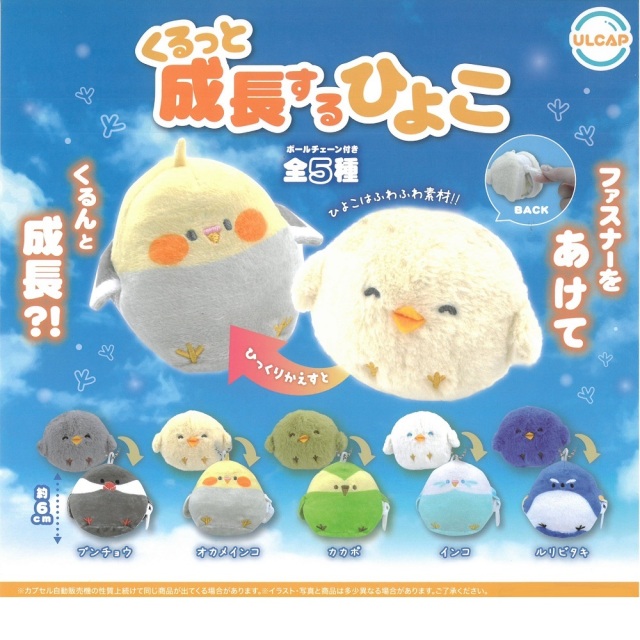 9999616【ウルトラニュープランニング】くるっと成長するひよこ