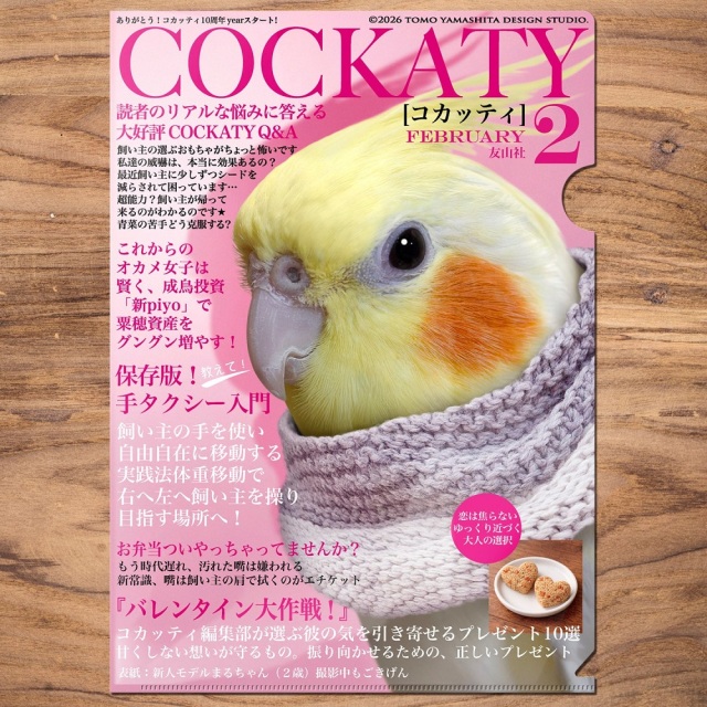 9999621【TOMO YAMASHITA DESIGN STUDIO】A4クリアファイル/コカッティ2月号「バレンタイン大作戦!」◆