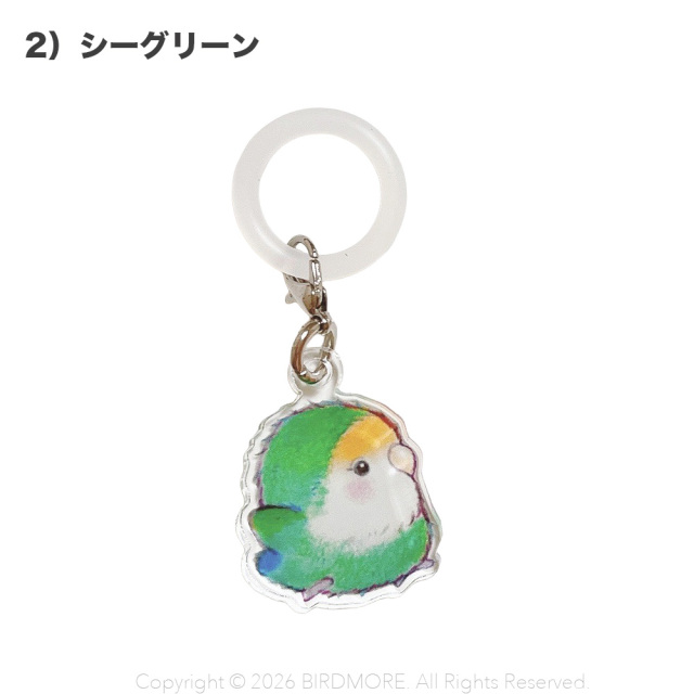 9999629【aoamo】まんまるコザクラアンブレラマーカー 飼鳥専門店 BIRD
