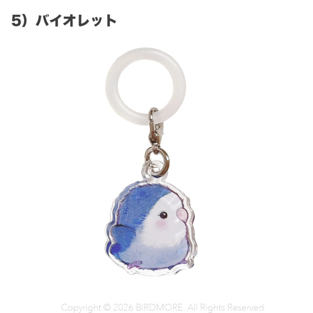 9999629【aoamo】まんまるコザクラアンブレラマーカー 鳥専門店 BIRD MORE