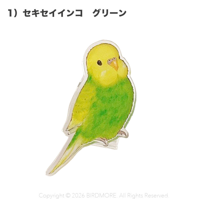 9999637【aoamo】アクリルクリップ 鳥専門店 BIRD MORE