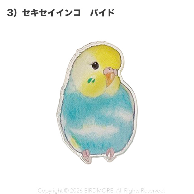 9999637【aoamo】アクリルクリップ 鳥専門店 BIRD MORE